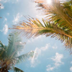 Florida, South – The Village South