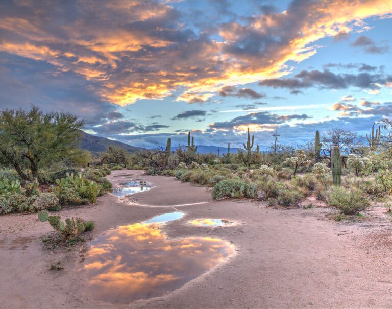 Arizona 768x605